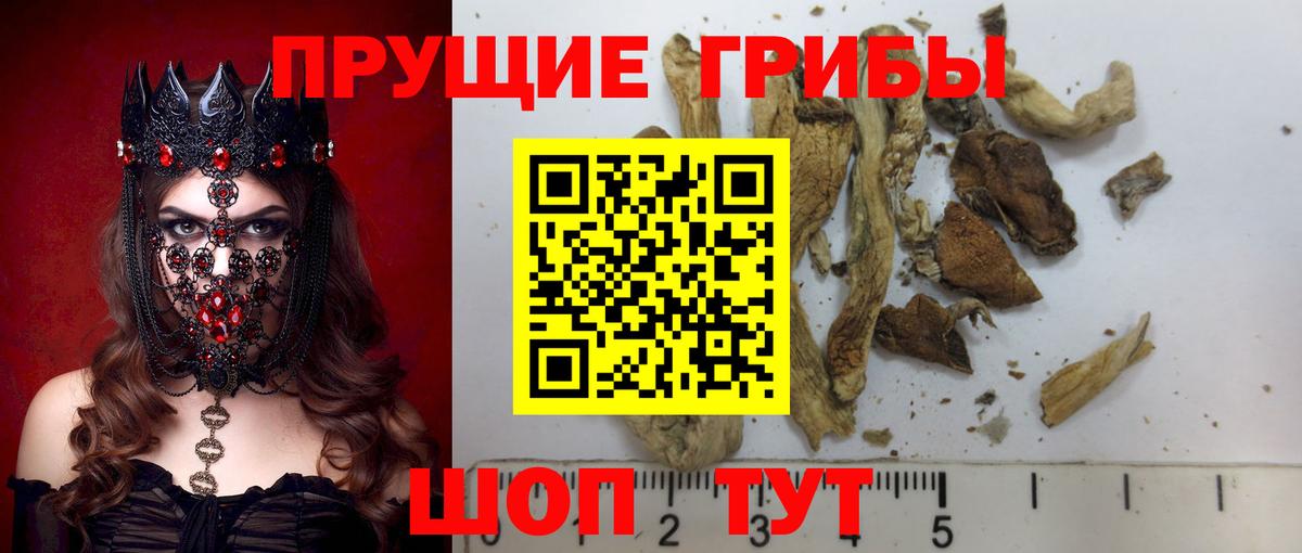 Галлюциногенные грибы Magic Shrooms  Галлюциногенные грибы Psilocybe  магазин  наркотиков  Кировск  Вход с VPN 